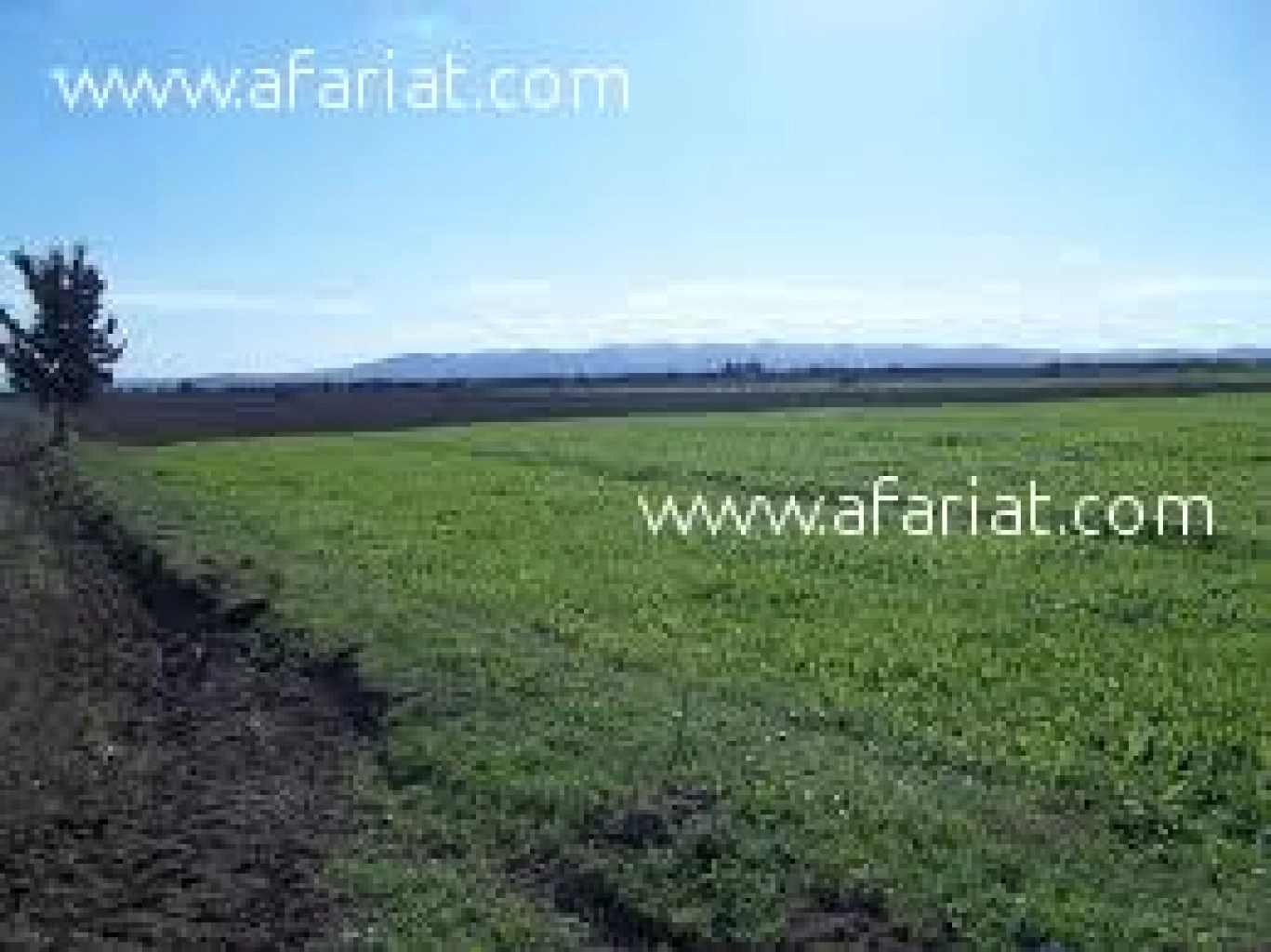 A #vendre un #Terrain agricole à hergla