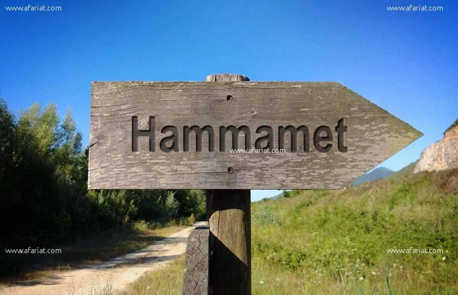 un terrain à El Hammamet sud