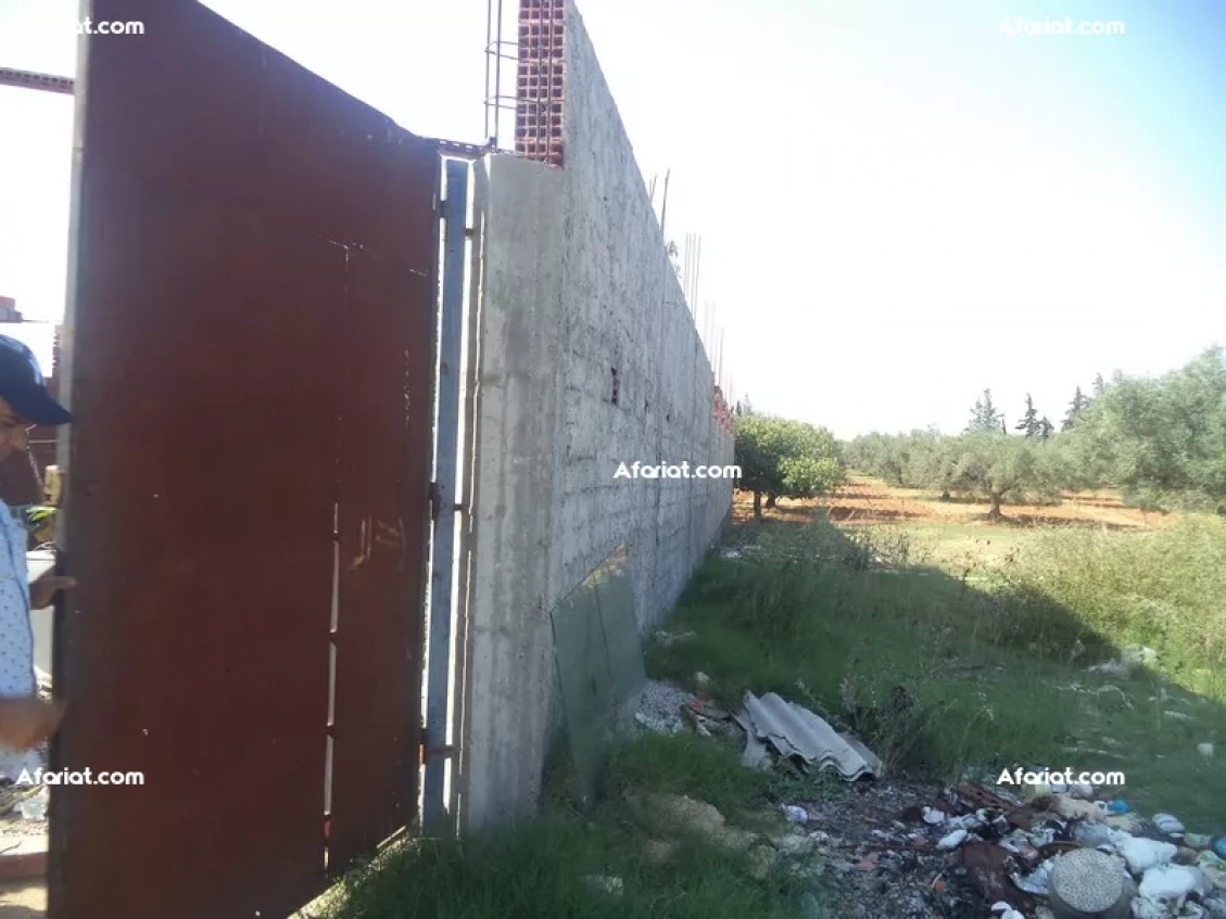 av terrain de 500m a hammamet sud