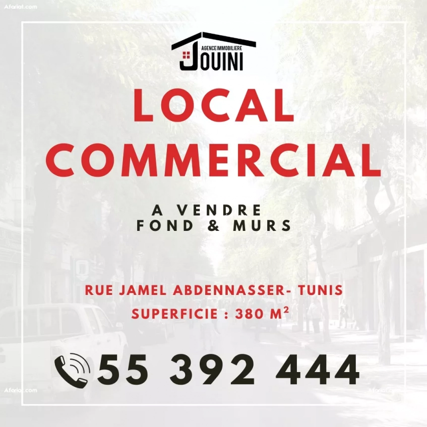 Local Commercial 380 m2 au centre ville