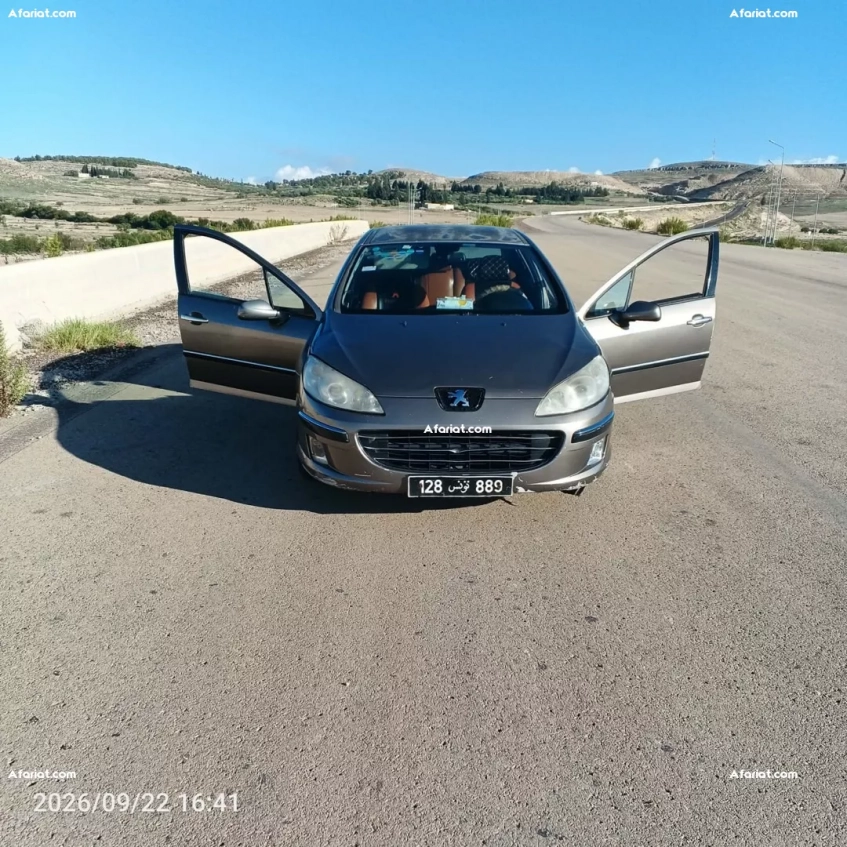 Peugot 407