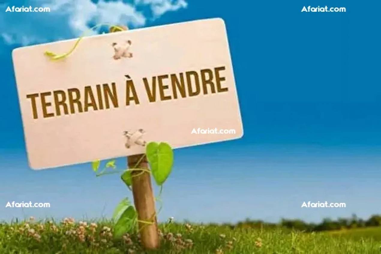 terrain agricole à vendre