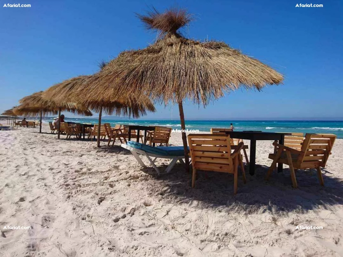 occasion a ne pas rater