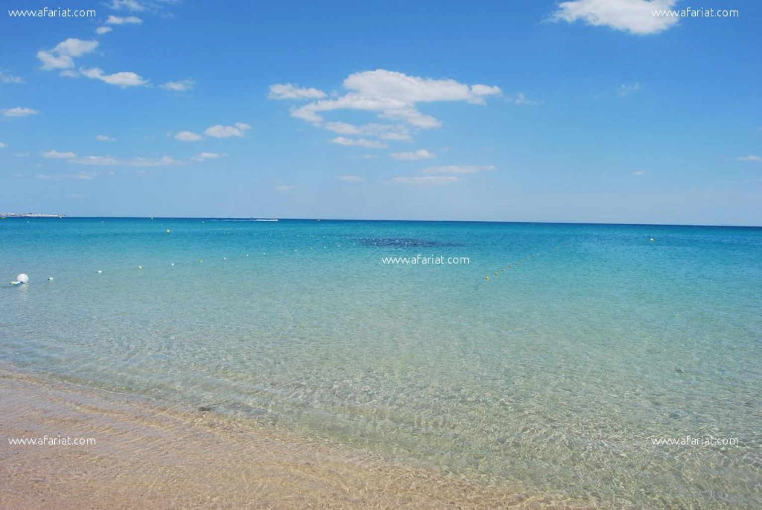 Terrain au bord de la mer