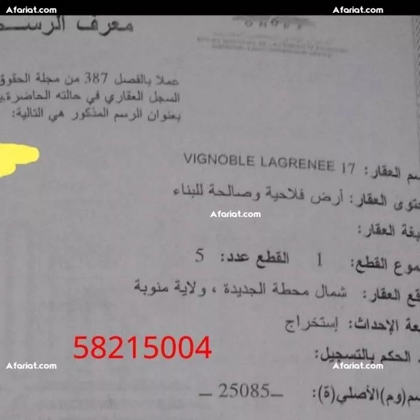 لي من يدفع أكثر