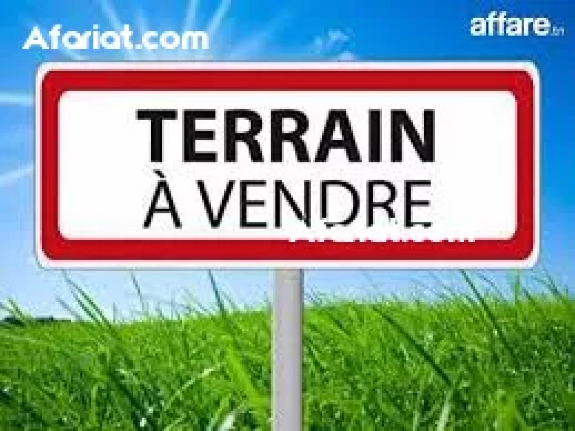 Terrain à vendre   قطعة ارض للبيع