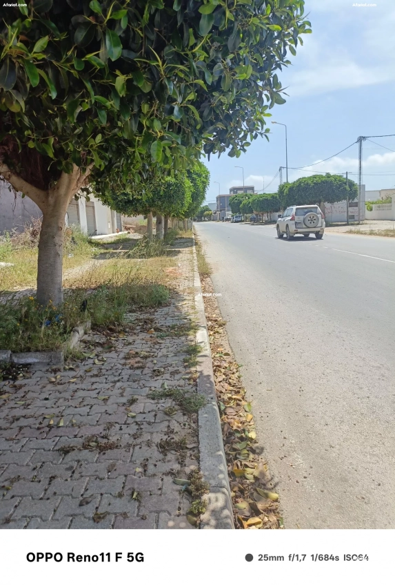 un terrain situé a haouaria centre ville