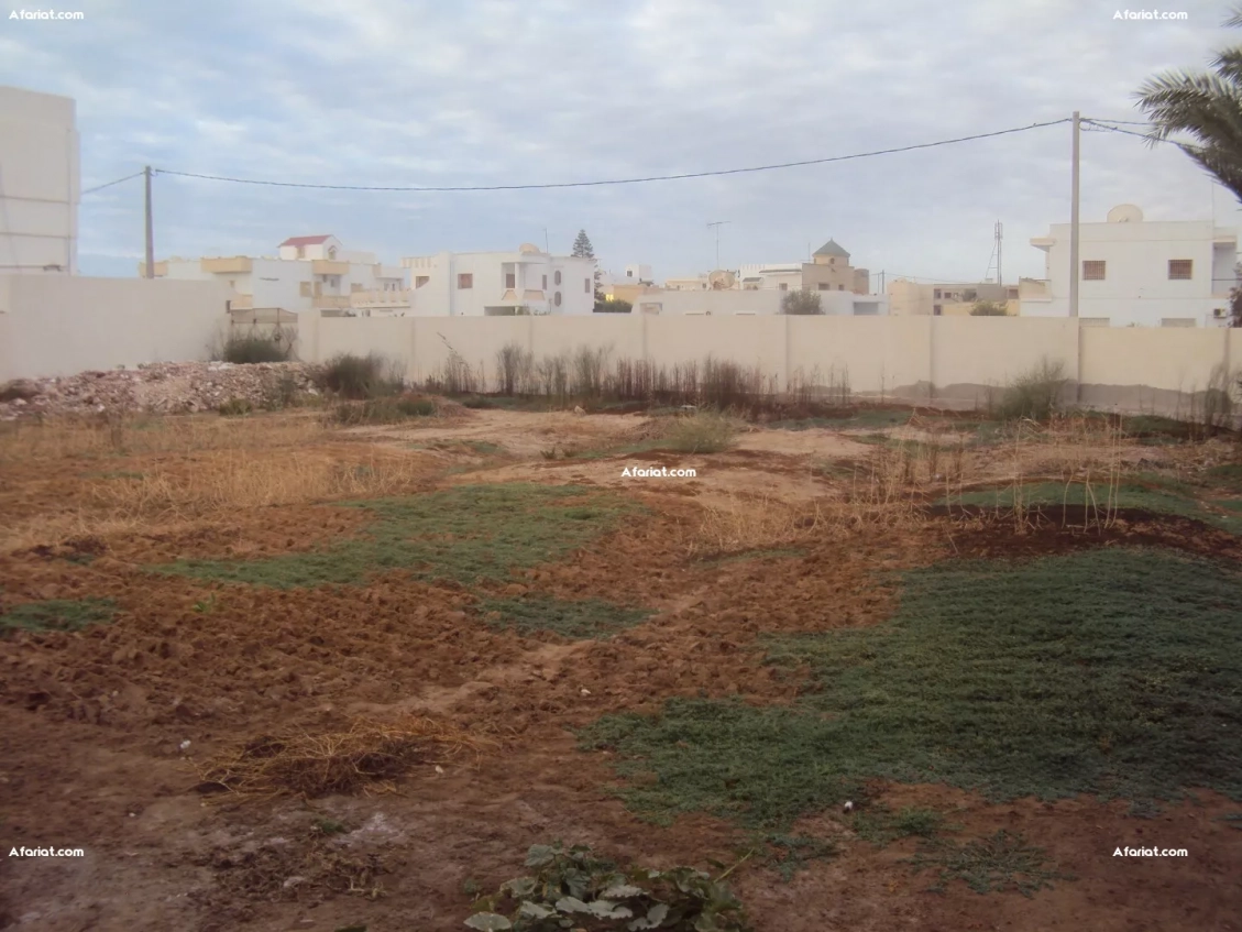 Terrain de 811 m² Route EL AIN km 2