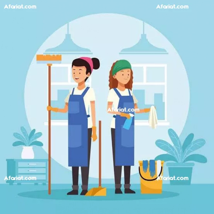 femme de ménage 94508739 par jour