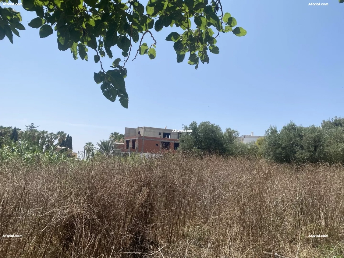 la marsa terrain à vendre