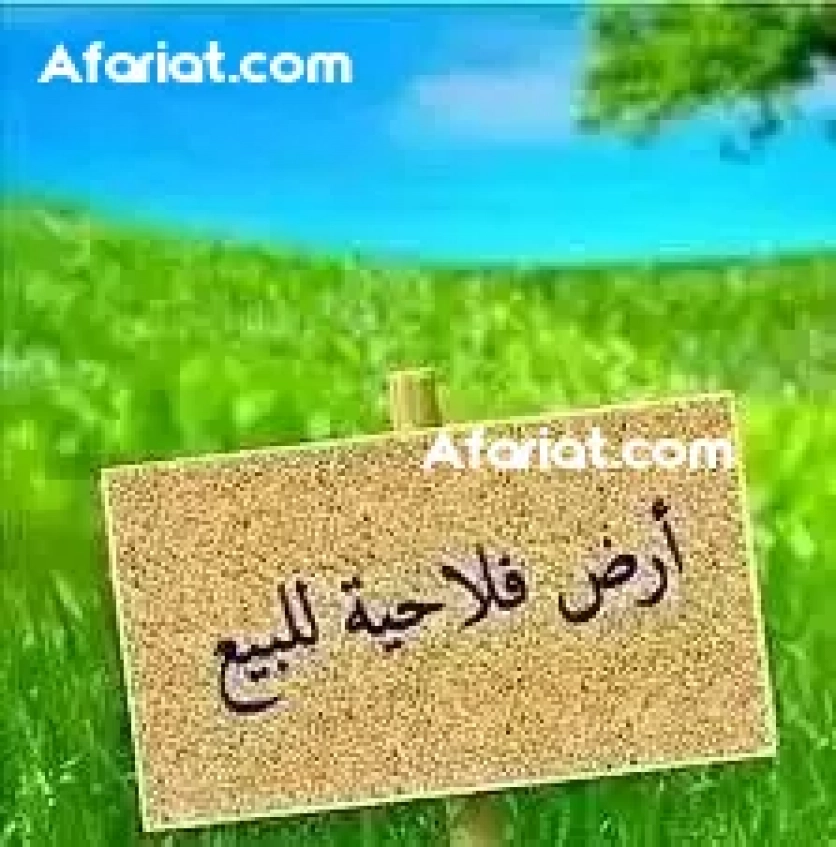 مشروع فلاحي للبيع