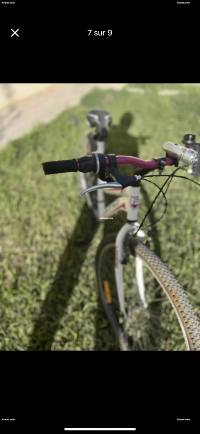 Vélo pour adulte