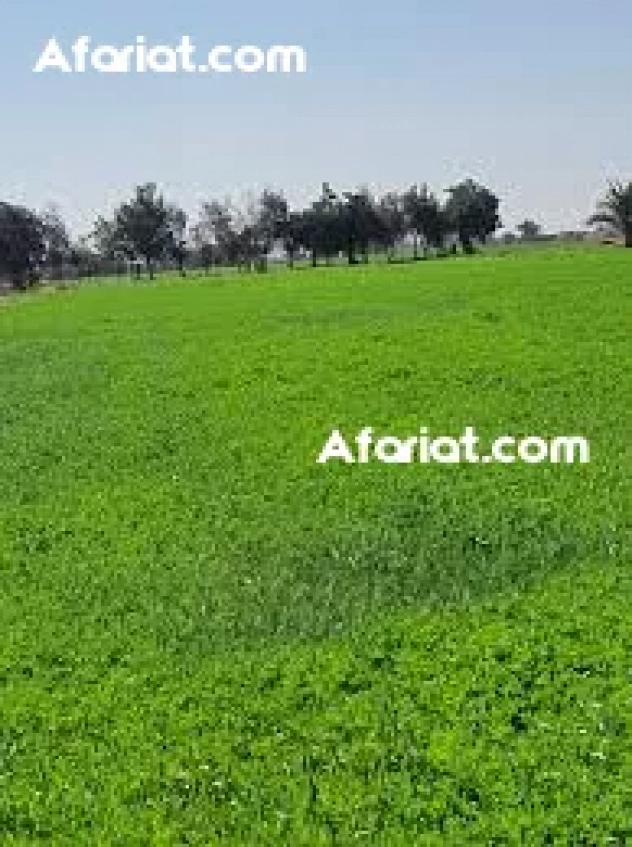 أراضي فلاحية للبيع في جبل وسط ولاية زغوان