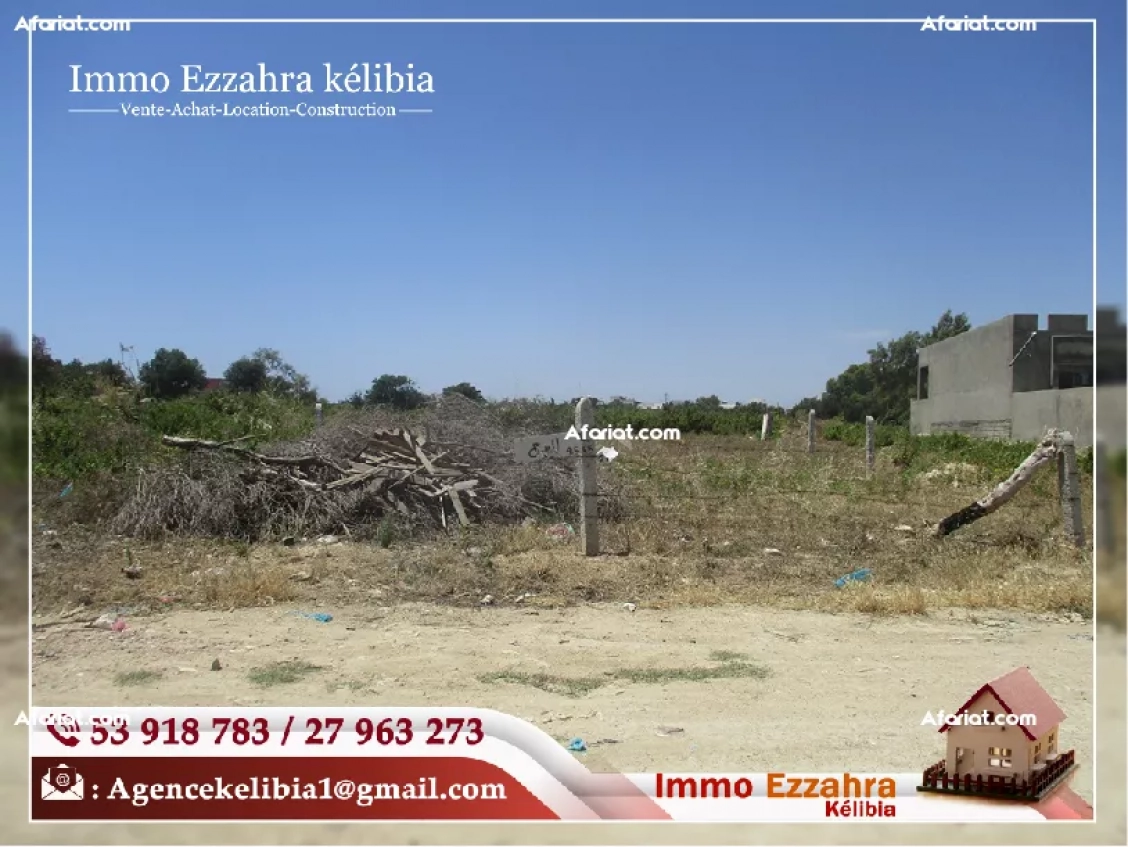 Un terrain à bâtir à Kélibia cité Ksiba prés de tous les commodi