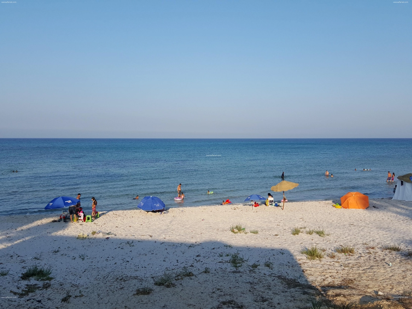 Investis au cap bon
