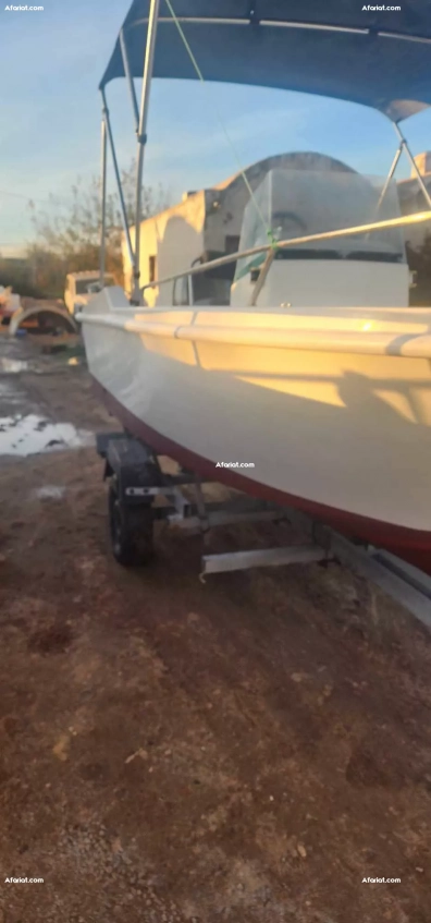 Bateau de pêche et loisir 5m -- moteur Tohatsu 50cv + remorque