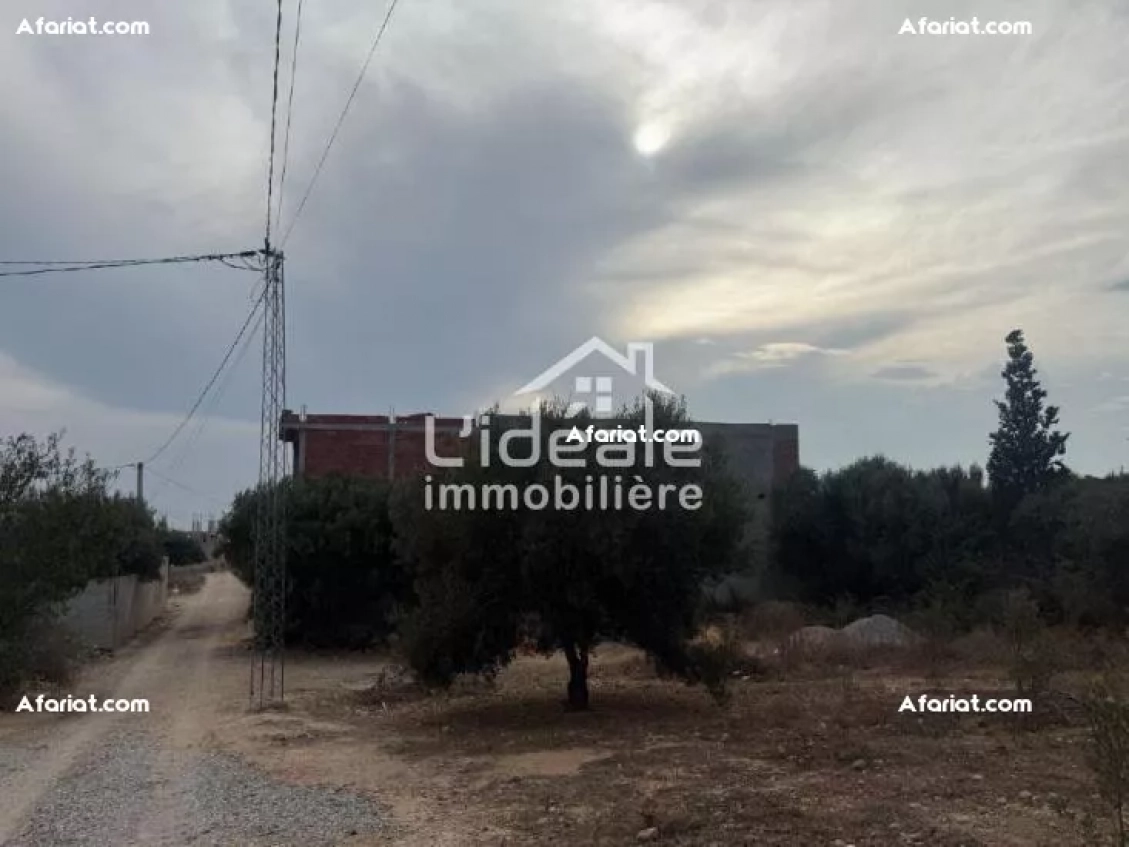 Terrain Ramla à Hammamet Zone sidi Hamed