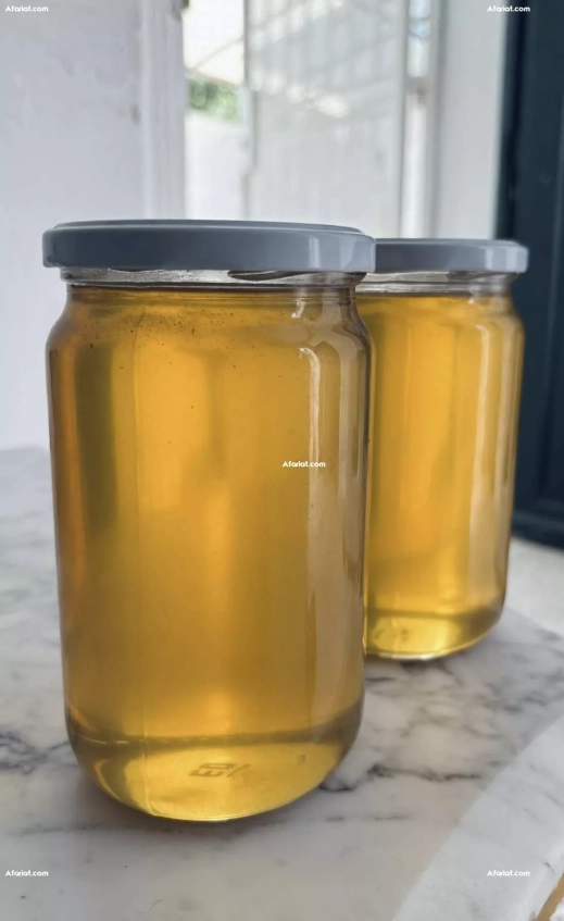 Miel Naturel de Forêt