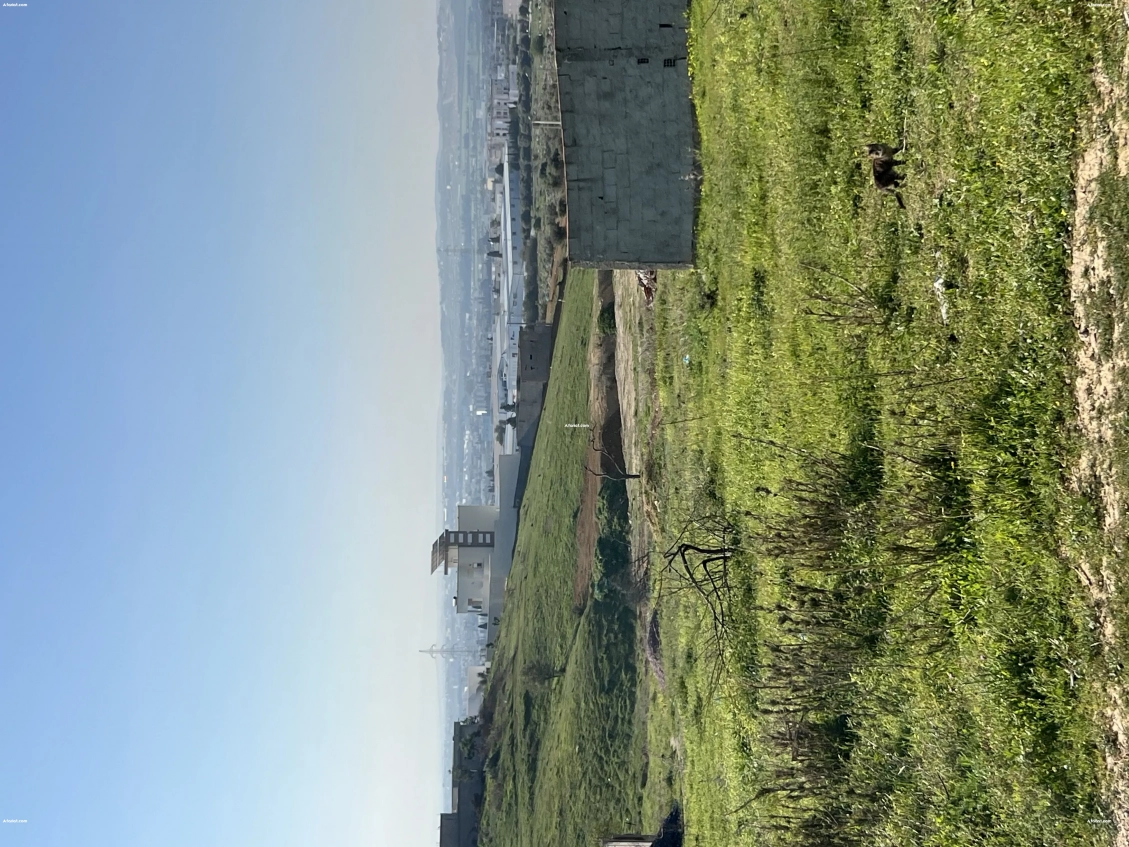 Lots de terrains a oued ellil en haut de cité el anber