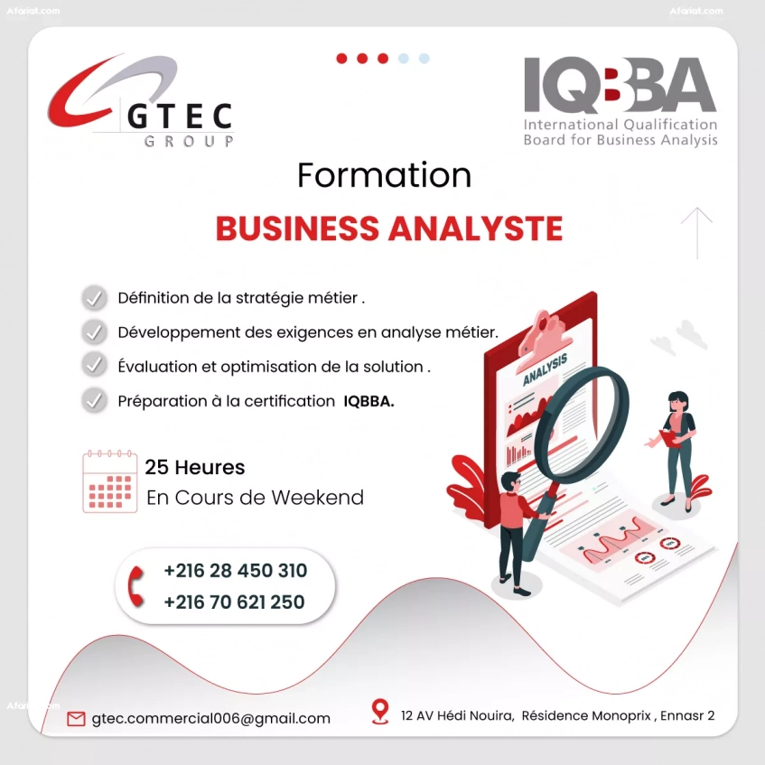 Formation Business Analyst