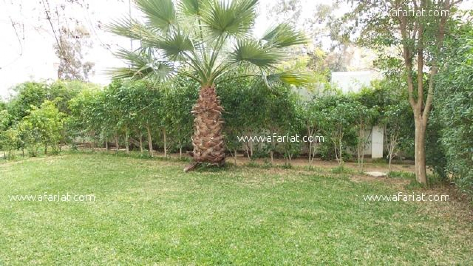Appartement NAYFER (Réf: V346)