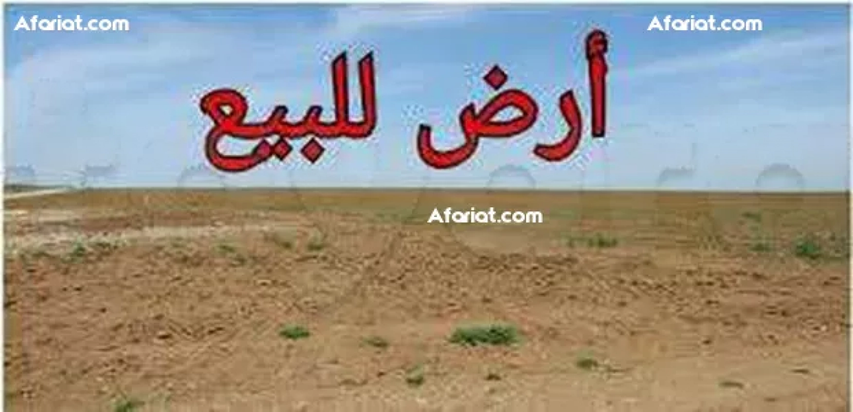 فرصة فريدة: امتلك عقاراً على البحر!