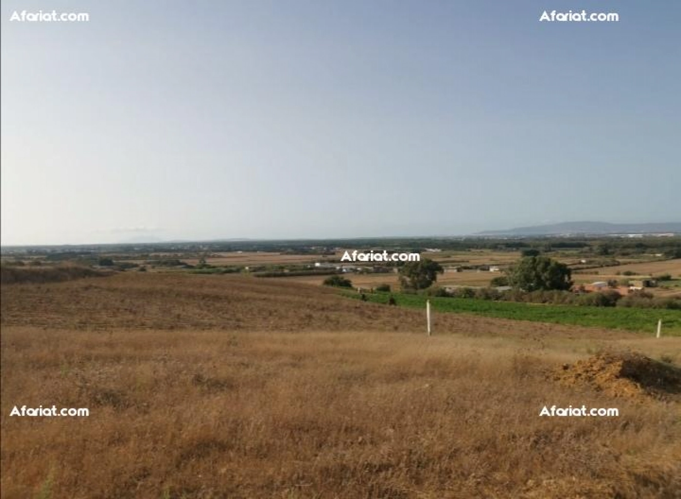 terrain a vendre 28.910817