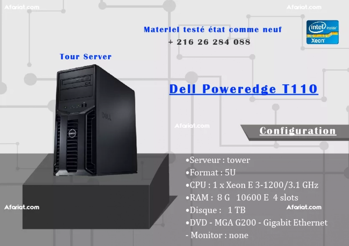 Dell Poweredge T110