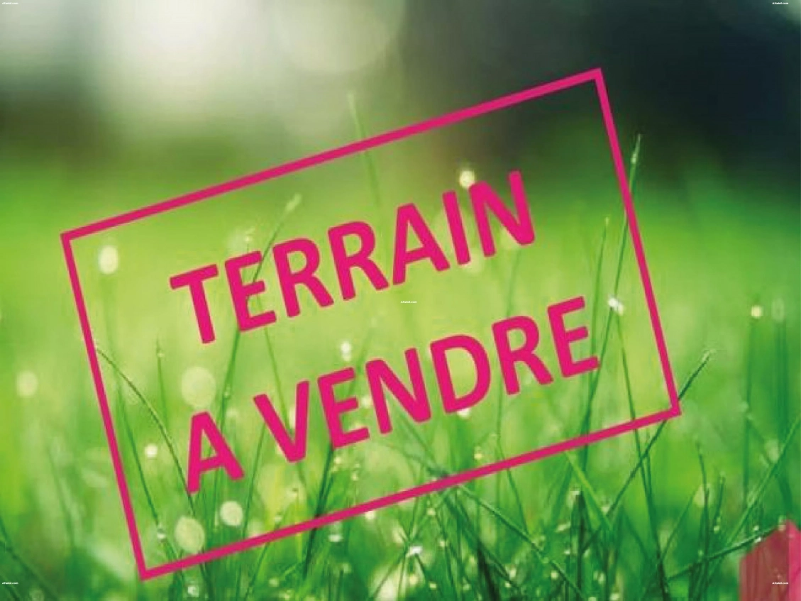 Un terrain d’avenir vous attend à Hammamet