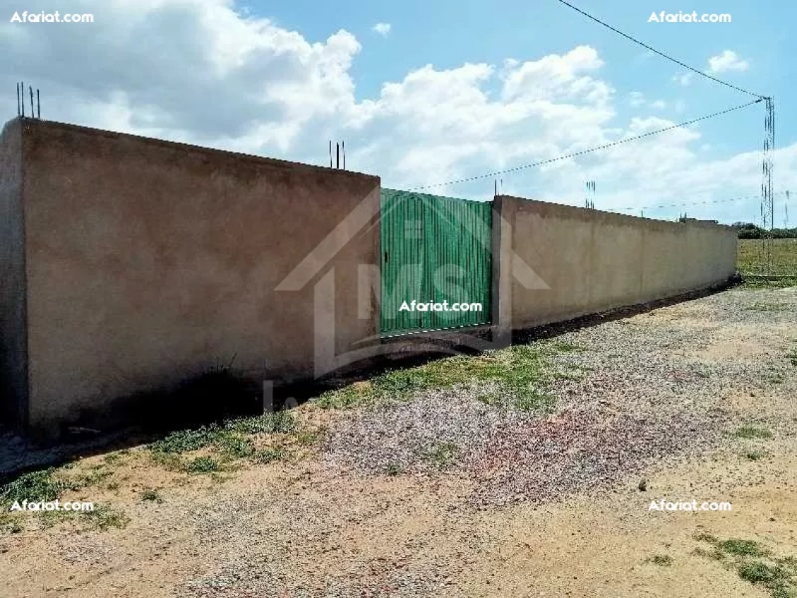 Terrain clôturé de 687 m² à vendre à Hammamet Sud 51355351