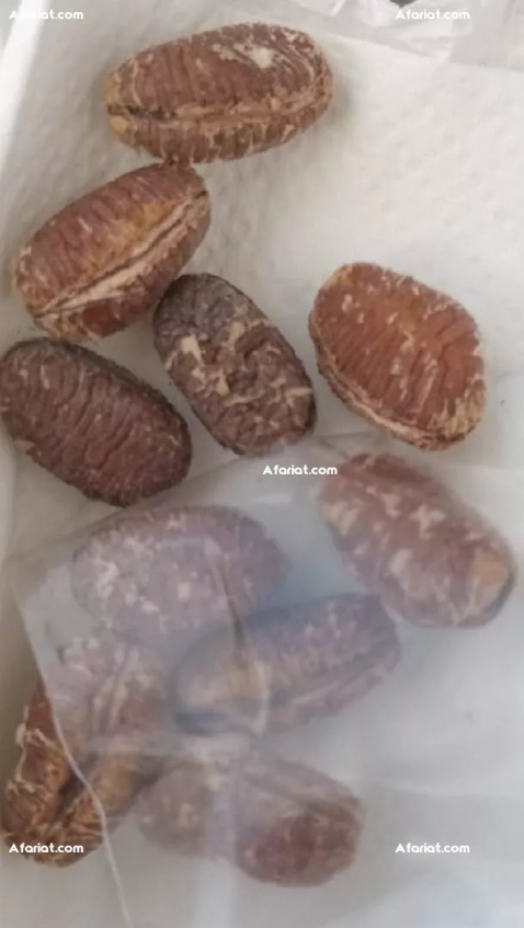 Recherche partenaire Local en Tunisie