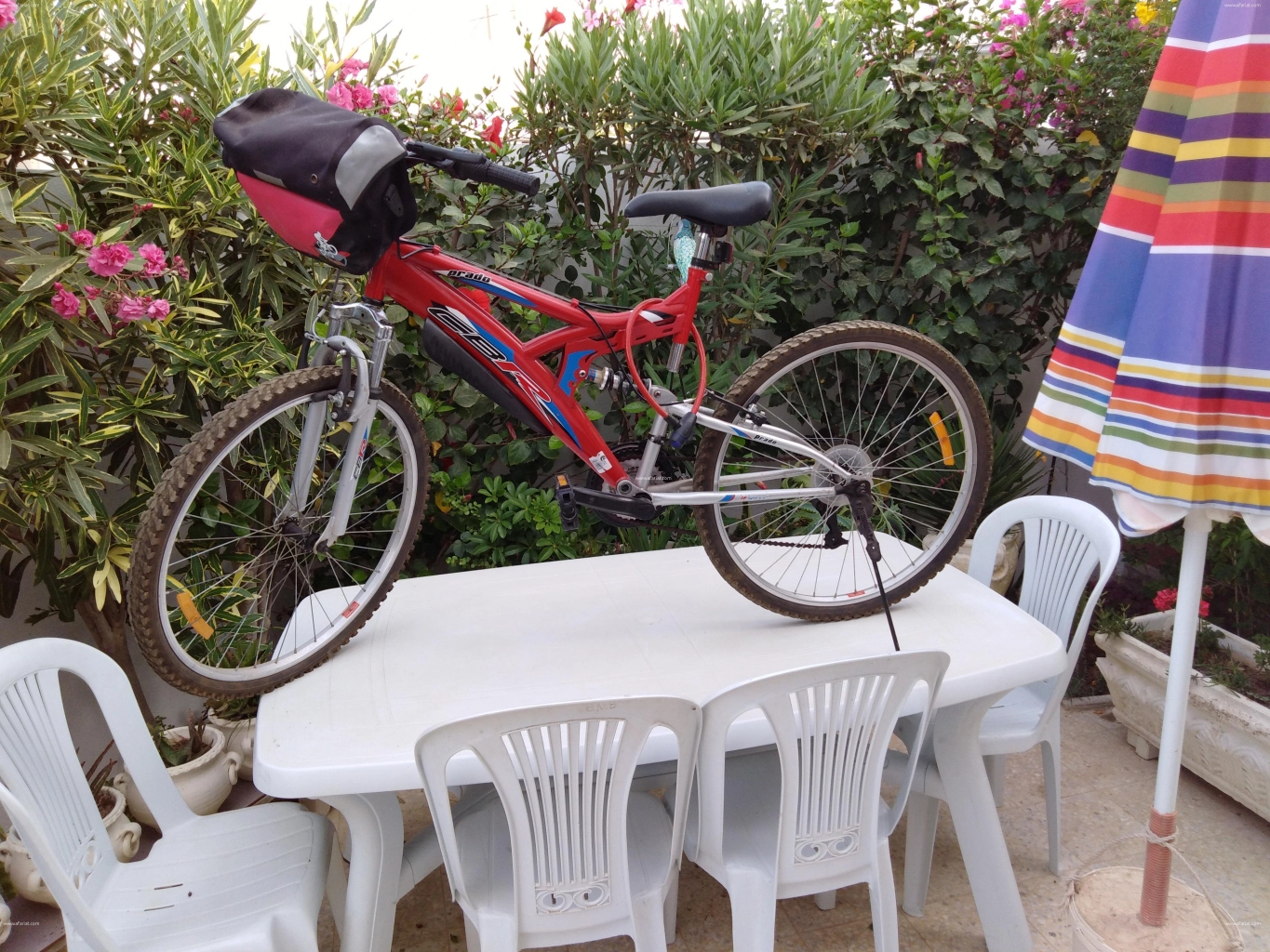 tunisie usine de bicyclette