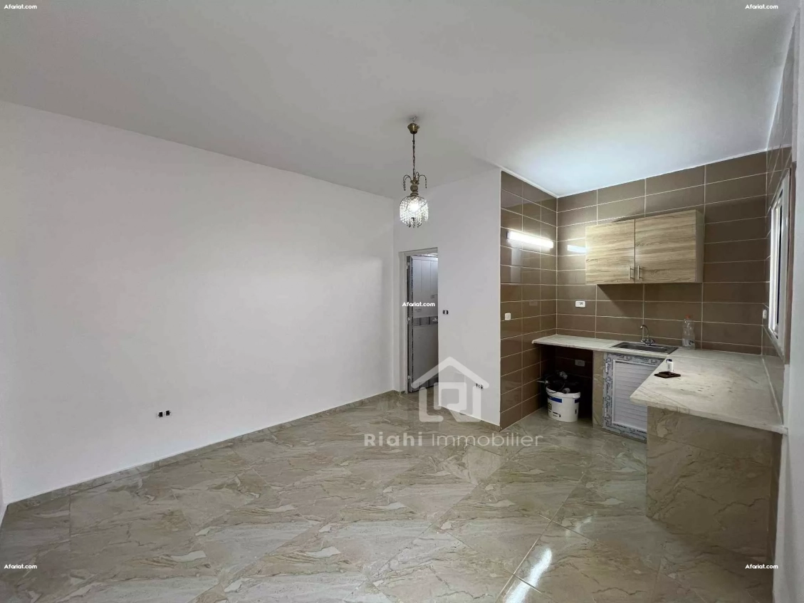 appartement s+1