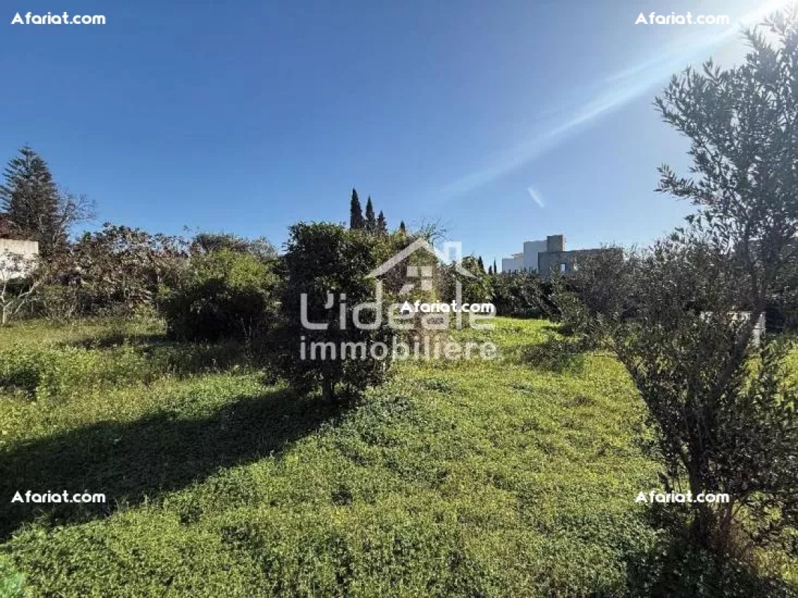 À vendre 4 lots de terrain à Hammamet Zone Craxi