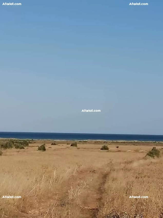 قطعة ارض للبيع