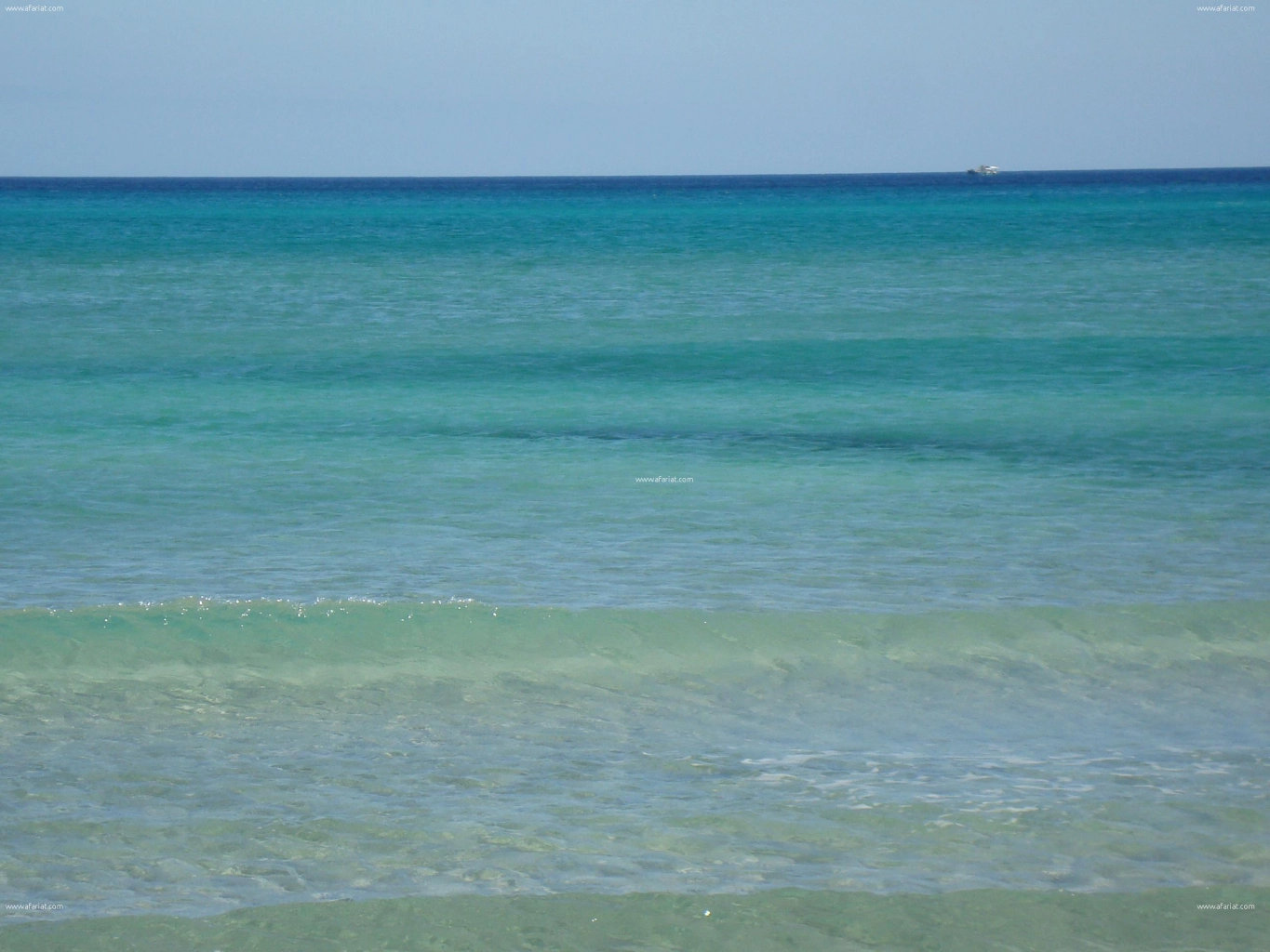 Terrain au bord de la mer