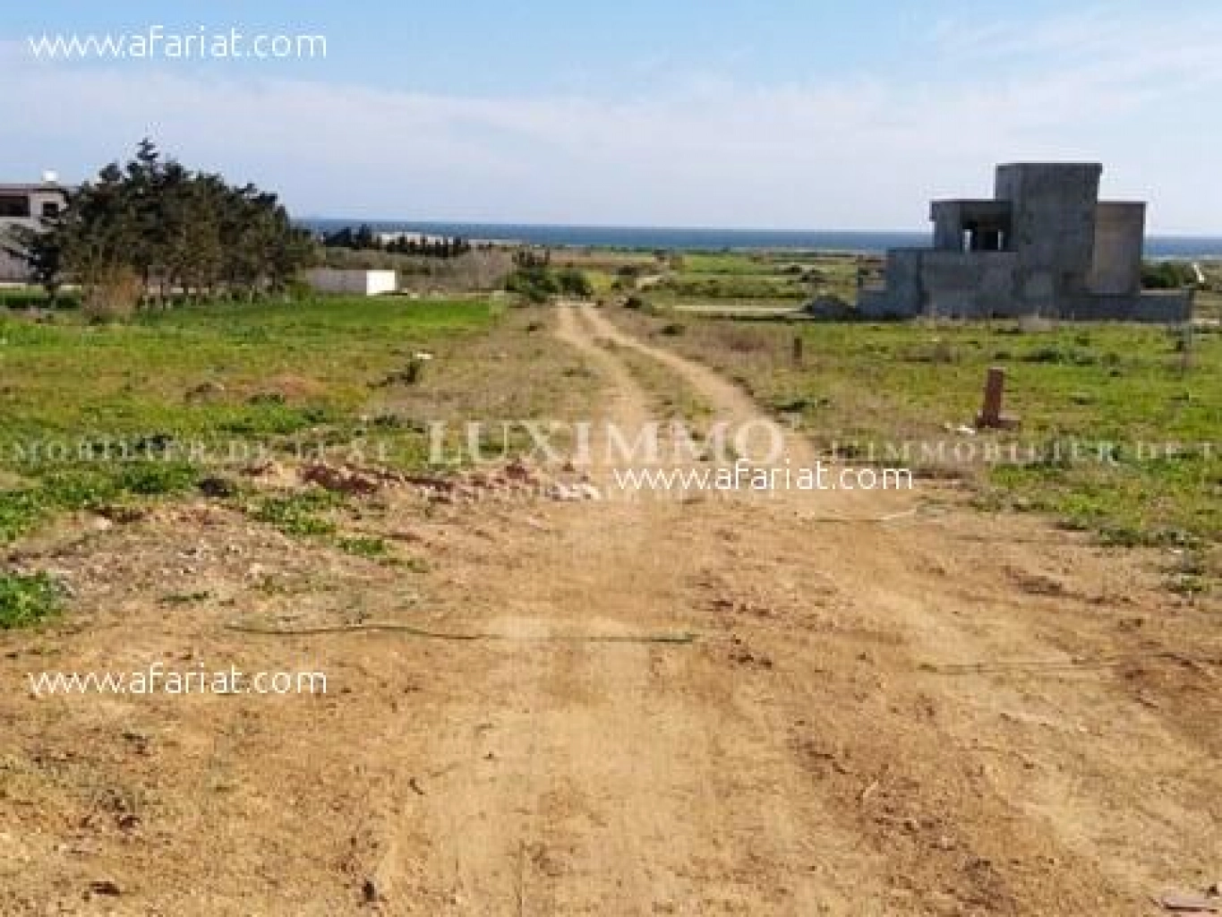 dar allouche terrain 180 m²