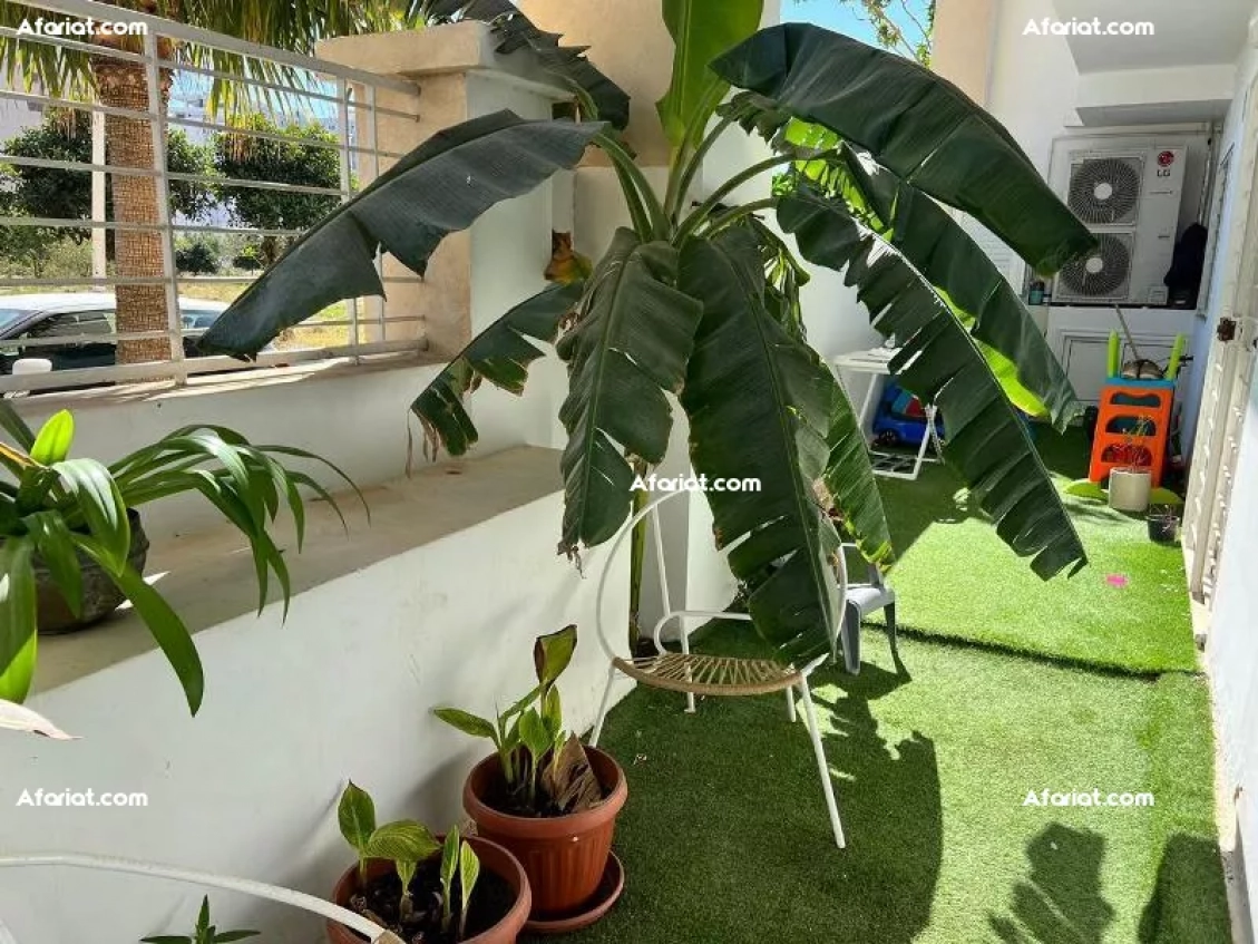 Duplex CARAMEL (Réf: V2786)