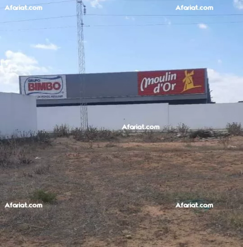 Lots industriels à vendre – Jbel El Ouest, Zaghouan 