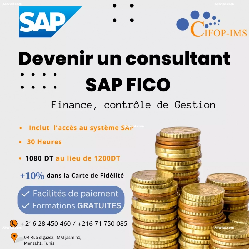 Formation SAP Fico Métier