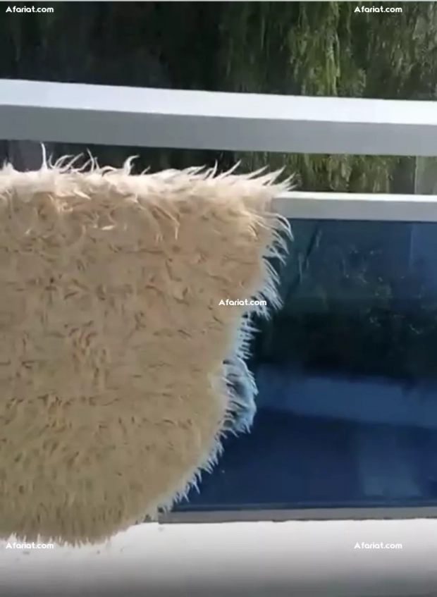 VEND APPARTEMENT A NOTRE DAME