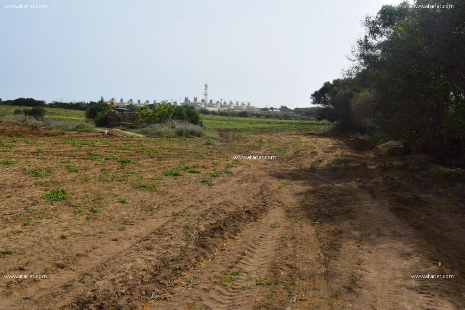 un terrain 708 m² , à El Haouaria