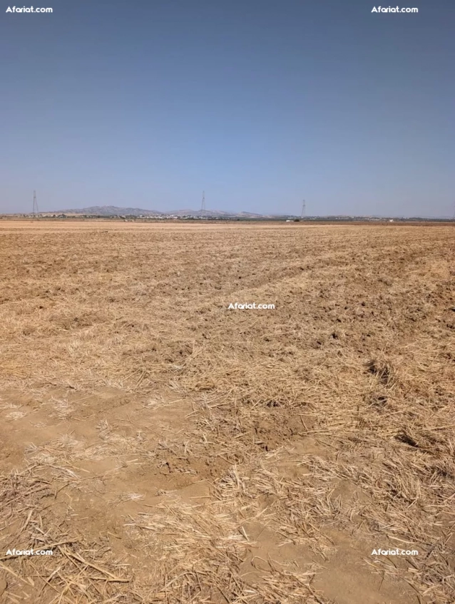 Avendre- Terrain agricole nue 12.5ha a Enfidha