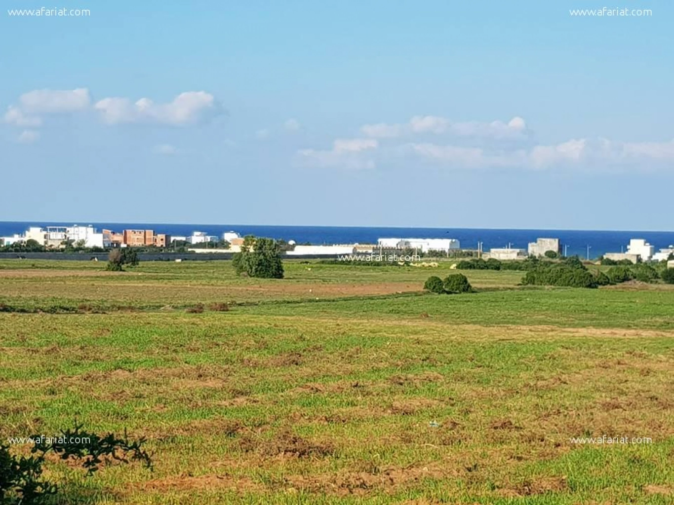 Terrain  vue sur mer à Kélibia kerkouane