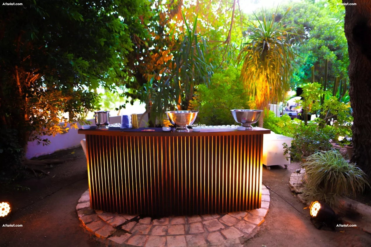 Modules de bar design – lot de 12 – idéal événementiel ou restaur