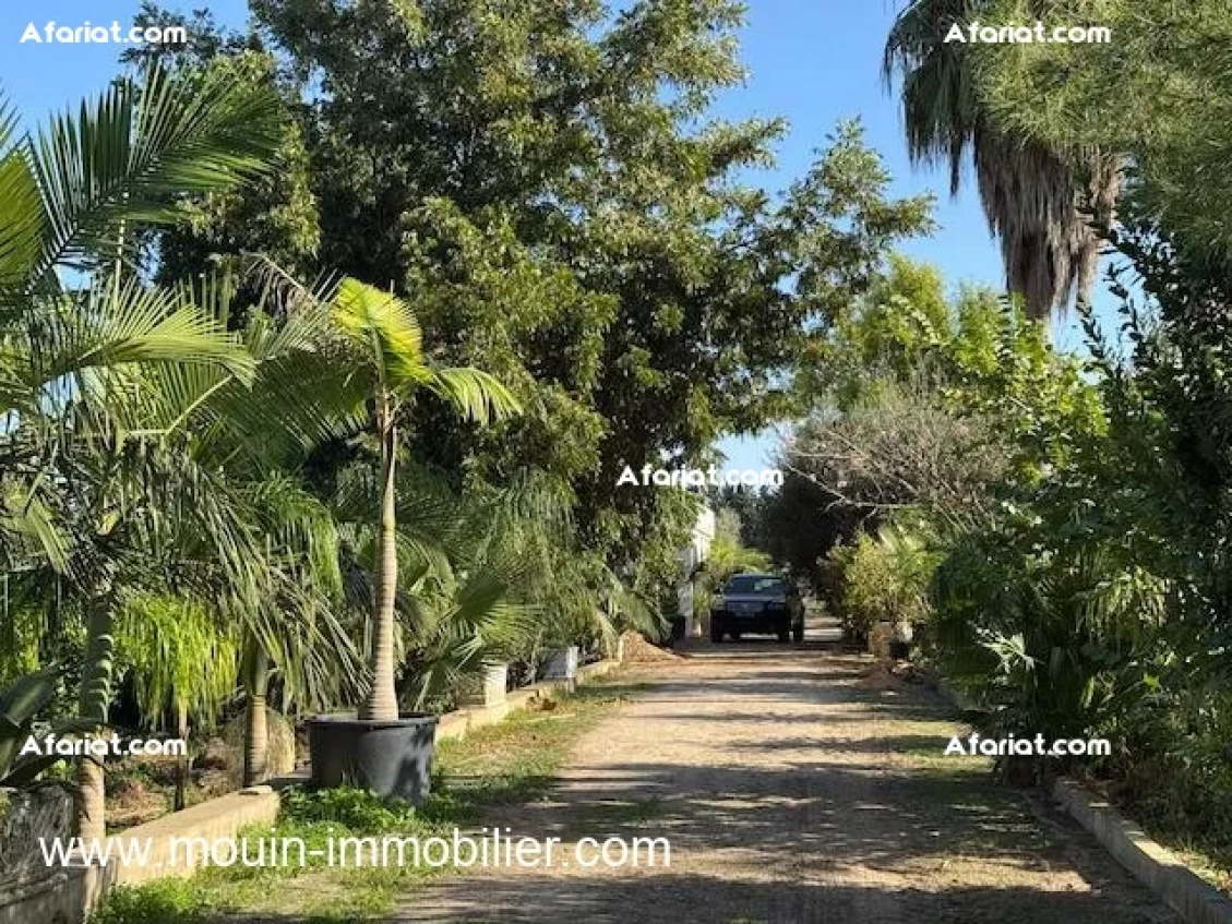 Ferme Beni Khaled II T1225 Nabeul