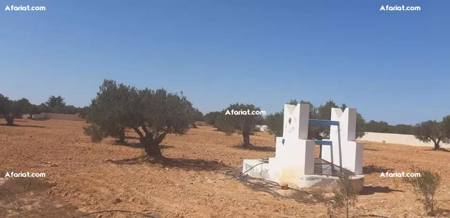 Terrain Titre Bleu Aghir Djerba