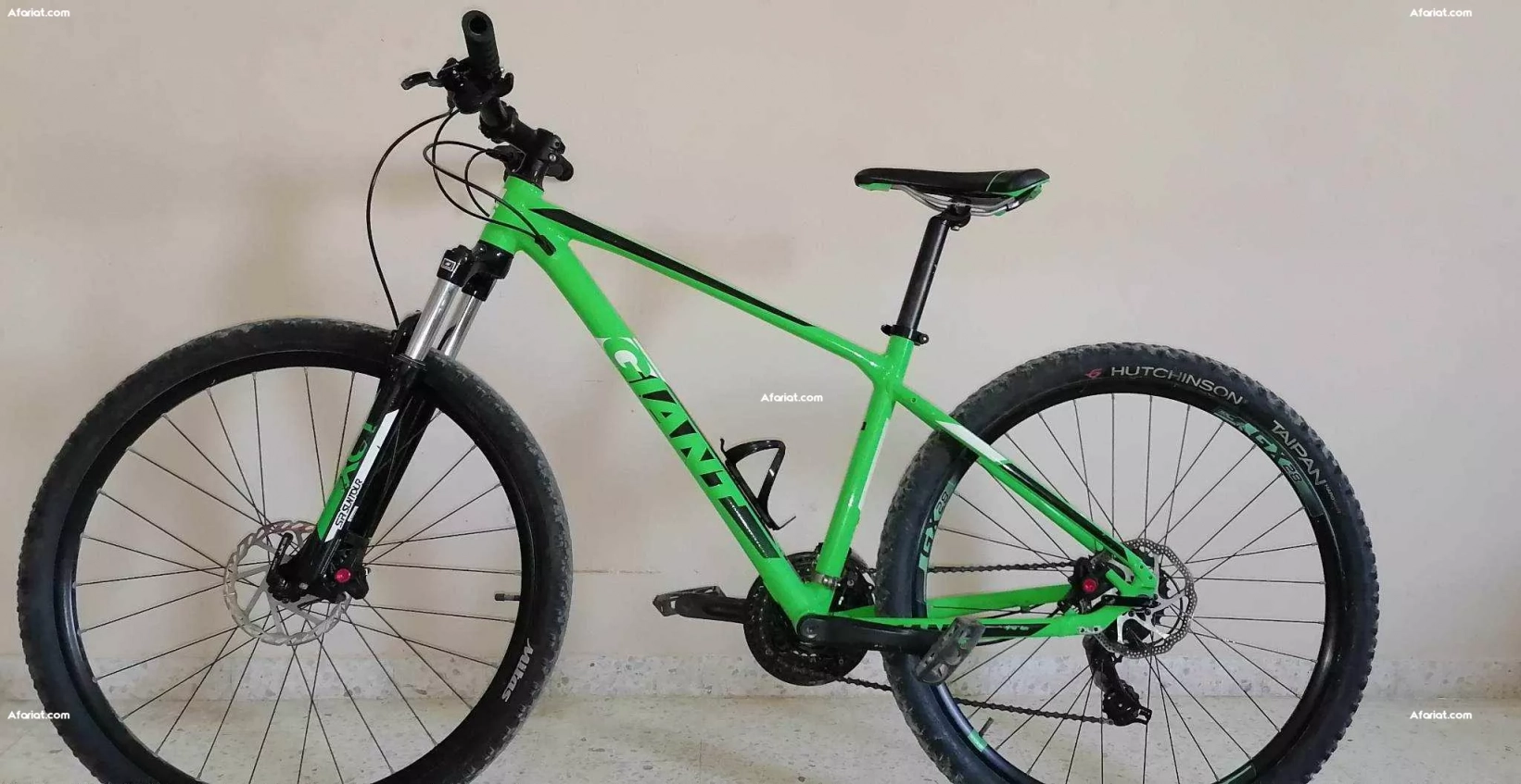 Summer bike