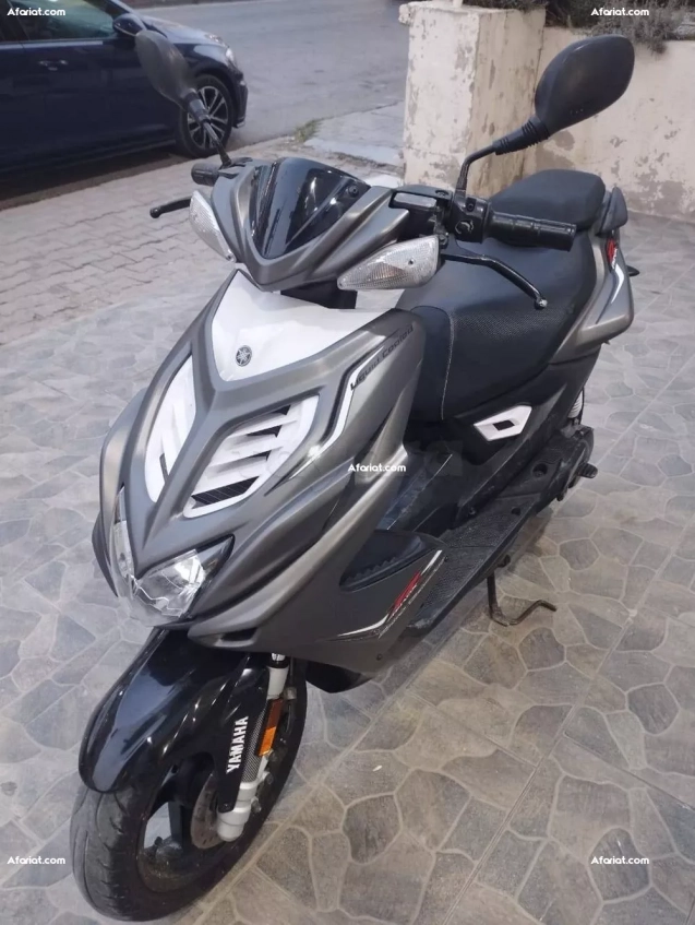 A vendre nitro modèle 2017