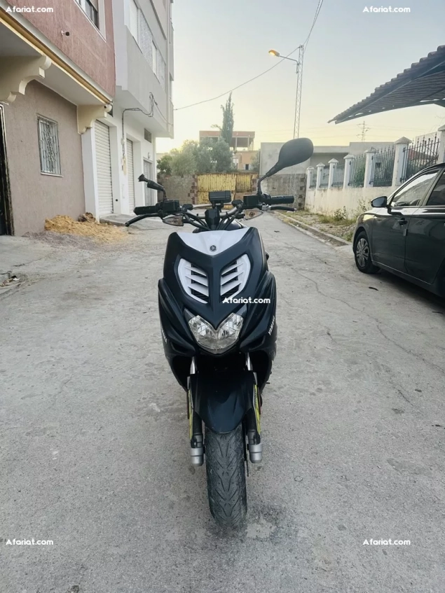 nitro nouveau à vendre